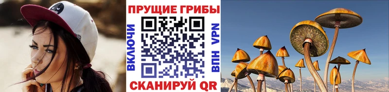 Галлюциногенные грибы ЛСД  Холм 